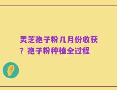 灵芝孢子粉几月份收获？孢子粉种植全过程
