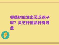 哪些树能生出灵芝孢子呢？灵芝种植品种有哪些