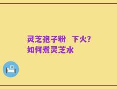 灵芝孢子粉  下火？如何煮灵芝水
