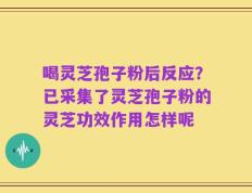 喝灵芝孢子粉后反应？已采集了灵芝孢子粉的灵芝功效作用怎样呢