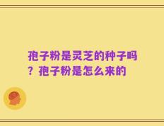 孢子粉是灵芝的种子吗？孢子粉是怎么来的