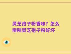 灵芝孢子粉香味？怎么辨别灵芝孢子粉好坏