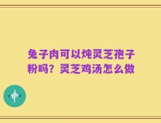 兔子肉可以炖灵芝孢子粉吗？灵芝鸡汤怎么做