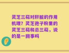 灵芝三萜对肝脏的作用机理？灵芝孢子粉里的灵芝三萜和总三萜，说的是一回事吗