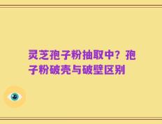 灵芝孢子粉抽取中？孢子粉破壳与破壁区别