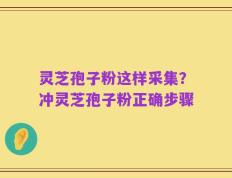 灵芝孢子粉这样采集？冲灵芝孢子粉正确步骤