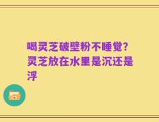 喝灵芝破壁粉不睡觉？灵芝放在水里是沉还是浮