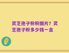 灵芝孢子粉粉图片？灵芝孢子粉多少钱一盒