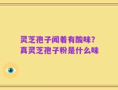 灵芝孢子闻着有酸味？真灵芝孢子粉是什么味