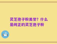 灵芝孢子粉美誉？什么是纯正的灵芝孢子粉