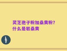 灵芝孢子粉加桑黄粉？什么是岩桑黄