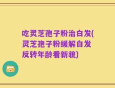 吃灵芝孢子粉治白发(灵芝孢子粉缓解白发 反转年龄看新貌)