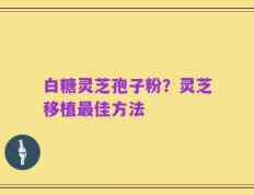 白糖灵芝孢子粉？灵芝移植最佳方法