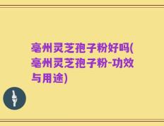 亳州灵芝孢子粉好吗(亳州灵芝孢子粉-功效与用途)