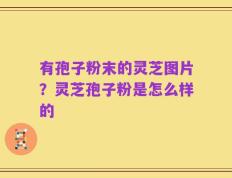 有孢子粉末的灵芝图片？灵芝孢子粉是怎么样的