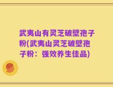 武夷山有灵芝破壁孢子粉(武夷山灵芝破壁孢子粉：强效养生佳品)