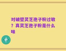 对破壁灵芝孢子粉过敏？真灵芝孢子粉是什么味