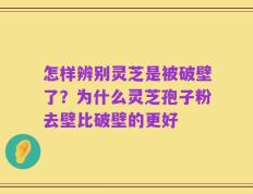 怎样辨别灵芝是被破壁了？为什么灵芝孢子粉去壁比破壁的更好