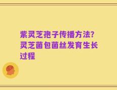 紫灵芝孢子传播方法？灵芝菌包菌丝发育生长过程