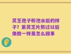 灵芝孢子粉泡水后的样子？紫灵芝片熬过以后像胶一样是怎么回事