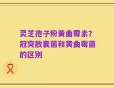 灵芝孢子粉黄曲霉素？冠突散囊菌和黄曲霉菌的区别