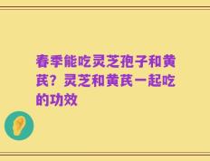 春季能吃灵芝孢子和黄芪？灵芝和黄芪一起吃的功效