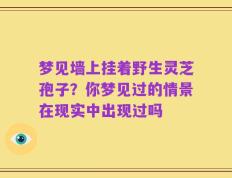 梦见墙上挂着野生灵芝孢子？你梦见过的情景在现实中出现过吗