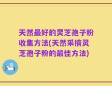 天然最好的灵芝孢子粉收集方法(天然采摘灵芝孢子粉的最佳方法)