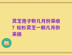 灵芝孢子粉几月份采收？松杉灵芝一般几月份采摘
