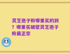 灵芝孢子粉哪里买的到？哪里买破壁灵芝孢子粉最正宗