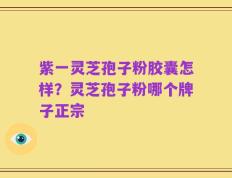 紫一灵芝孢子粉胶囊怎样？灵芝孢子粉哪个牌子正宗