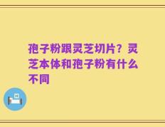 孢子粉跟灵芝切片？灵芝本体和孢子粉有什么不同