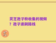 灵芝孢子粉收集的视频？孢子速刷路线