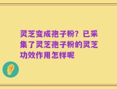灵芝变成孢子粉？已采集了灵芝孢子粉的灵芝功效作用怎样呢