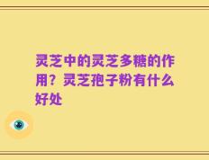 灵芝中的灵芝多糖的作用？灵芝孢子粉有什么好处