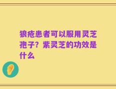 狼疮患者可以服用灵芝孢子？紫灵芝的功效是什么