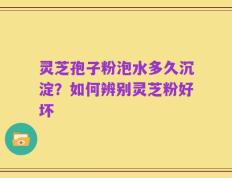 灵芝孢子粉泡水多久沉淀？如何辨别灵芝粉好坏
