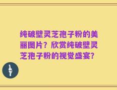 纯破壁灵芝孢子粉的美丽图片？欣赏纯破壁灵芝孢子粉的视觉盛宴？