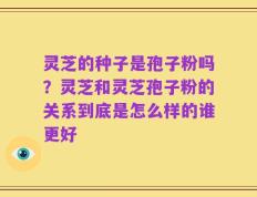 灵芝的种子是孢子粉吗？灵芝和灵芝孢子粉的关系到底是怎么样的谁更好