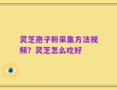 灵芝孢子粉采集方法视频？灵芝怎么吃好