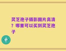 灵芝孢子摄影图片高清？哪里可以买到灵芝孢子