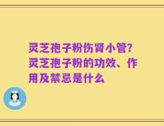 灵芝孢子粉伤肾小管？灵芝孢子粉的功效、作用及禁忌是什么