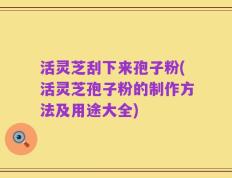 活灵芝刮下来孢子粉(活灵芝孢子粉的制作方法及用途大全)