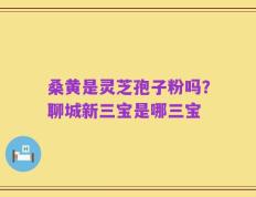 桑黄是灵芝孢子粉吗？聊城新三宝是哪三宝