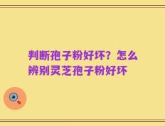 判断孢子粉好坏？怎么辨别灵芝孢子粉好坏
