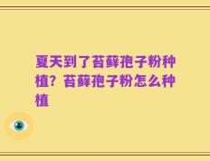 夏天到了苔藓孢子粉种植？苔藓孢子粉怎么种植