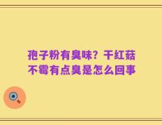 孢子粉有臭味？干红菇不霉有点臭是怎么回事