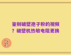 鉴别破壁孢子粉的视频？破壁机热敏电阻更换