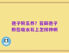 孢子粉五养？苔藓孢子粉在吸水石上怎样种啊