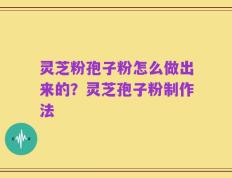 灵芝粉孢子粉怎么做出来的？灵芝孢子粉制作法